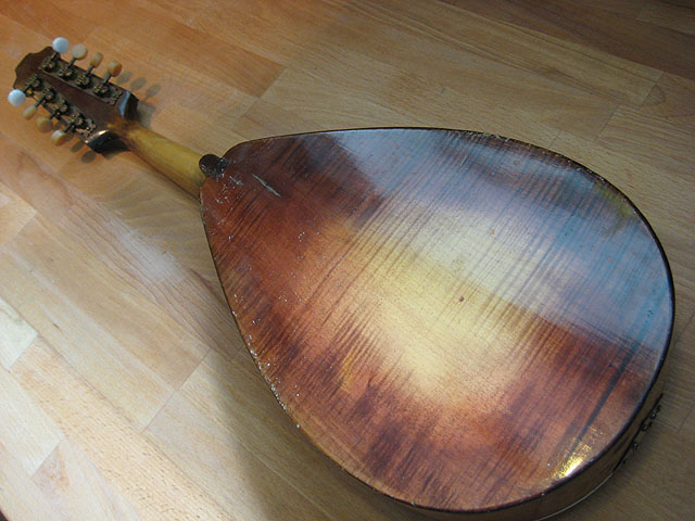 mandolin bagside